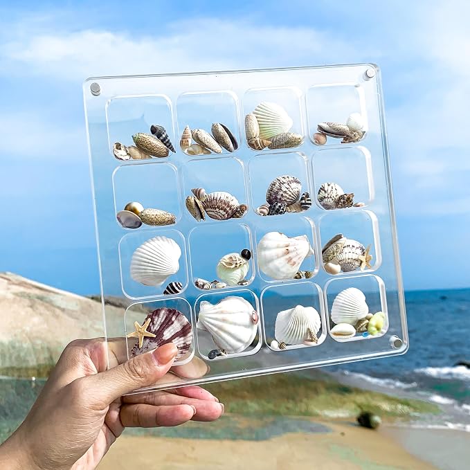 Acrylic Magnetic Seashell Display Case HD Panel with Tweezers | Large Upgraded Grids with Magnetic Snap, a Seashell Display Box for Collecting Shells, Jewelry, Crystals, Beads - Image 4