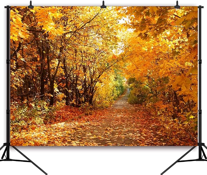 8x6 FT Fall Leaves Forest Autumn Backdrop Wedding Party Park Bridal Shower Theme Background for Photography YouTube Outdoor Travel Family Birthday Photo Props, Clear - Image 2