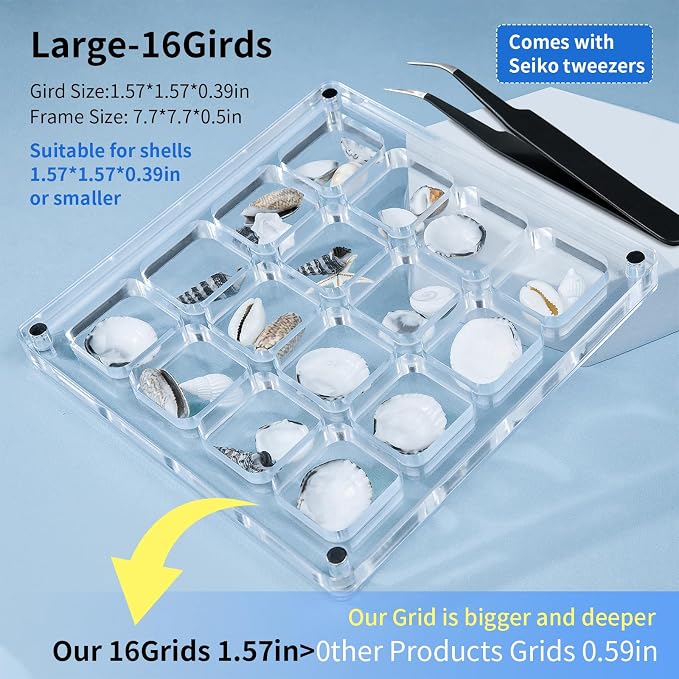 Acrylic Magnetic Seashell Display Case HD Panel with Tweezers | Large Upgraded Grids with Magnetic Snap, a Seashell Display Box for Collecting Shells, Jewelry, Crystals, Beads - Image 2