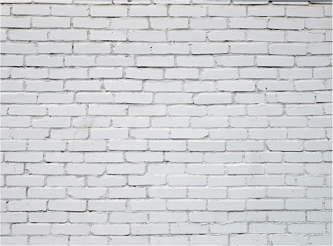 10 x 8ft White Brick Wall Backdrop Fabric Brick Photo Background | Large Polyester Brick Backdrop Cover for Photoshoot Home Fireplace Decoration, Newborn Birthday Party Decor by VitalCozy