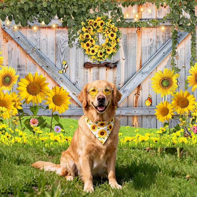 Sunflower Photo Backdrop for Photography, 8x6ft | Vinyl Wall Background for Photoshoot, Yellow Flower, Rustic Barn Wood Door, for Birthday Decorations, Outdoor Party - Image 6