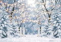 7x5FT Blue Winter Forest Scene Photography Backdrop Wonderland Snowflake Landscape Background for Christmas Xmax Family Holiday Party Decorations Supplies Banner Picture Photo Studio Props by Felortte