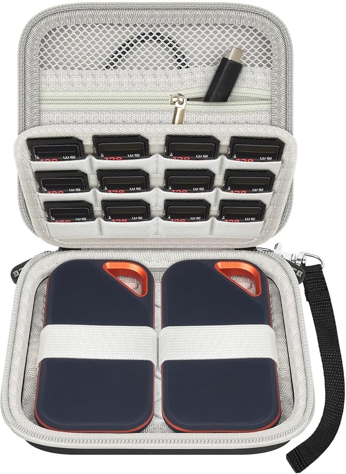 PAIYULE Dual SSD Case for 2 SanDisk Extreme Portable SSDs & Extreme PRO | Elastic Straps Secure Two Drives, Mesh Pocket Organizes Cables, Carabiner Adds Portability, Grey, Case Only by paiyule