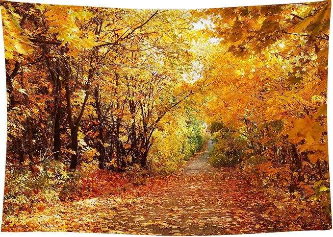 9x6 FT Fall Leaves Forest Autumn Backdrop Wedding Party Park Bridal Shower Theme Background for Photography YouTube Outdoor Travel Family Birthday Photo Props, Clear - Image 7