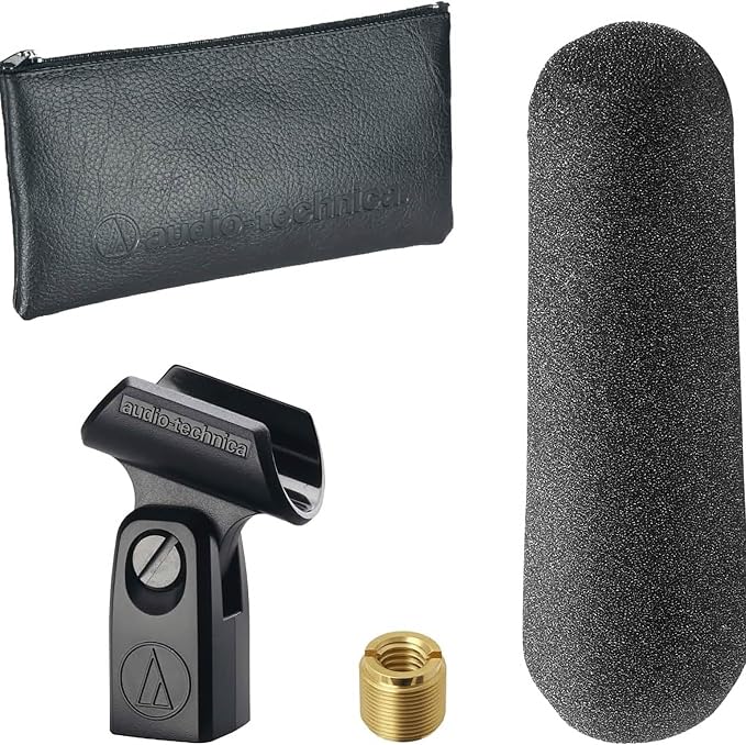 Audio-Technica AT875R Line + Gradient Condenser Microphone Bundle with Stand, XLR Cable, and Austin Bazaar Polishing Cloth - Image 4