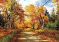 Fall Photography Backdrop Autumn Backdrop Fallen Leaves Real Natural Landscape Photography Background for Party Decoration Banner Baby Shower Studio Props 11631 (8x6FT) by SJOLOON
