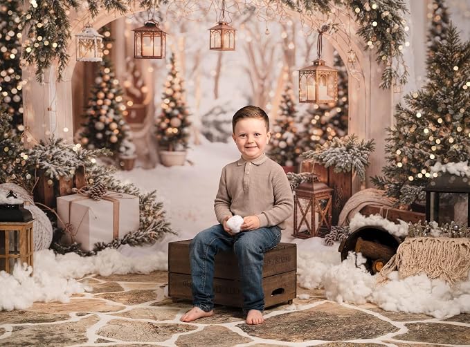 Kate Christmas Arch Door Backdrops Winter White Snow Land Photo Background Party Supplies Stduio Props, 10x6.5ft - Image 3