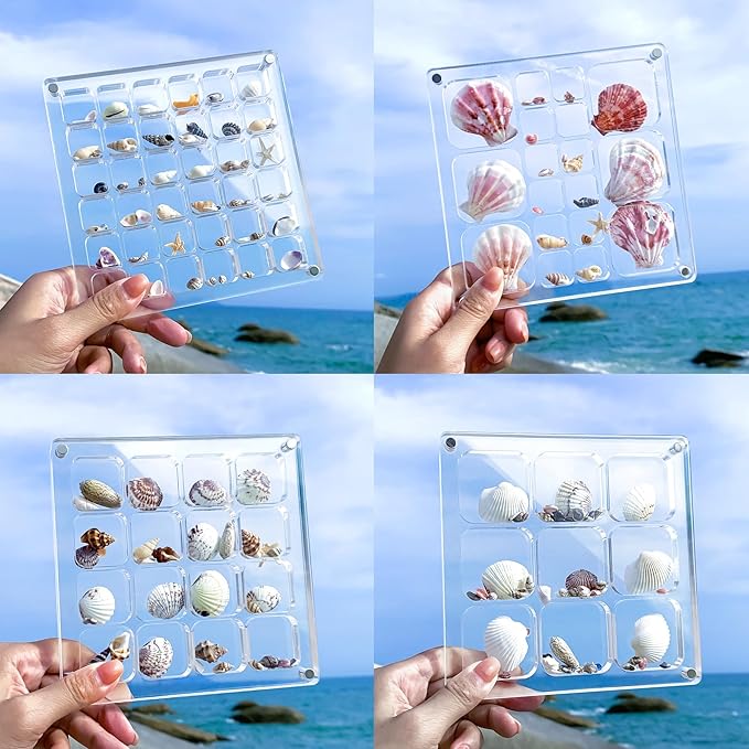 Acrylic Magnetic Seashell Display Case HD Panel with Tweezers | Small Upgraded Grids with Magnetic Snap, a Seashell Display Box for Collecting Shells, Jewelry, Crystals, Beads by MUXIUNT
