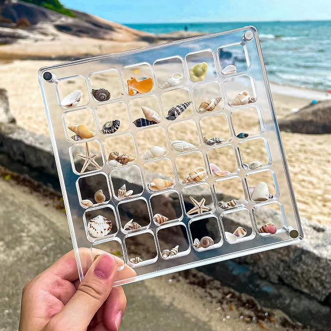Acrylic Magnetic Seashell Display Case HD Panel with Tweezers | Small Upgraded Grids with Magnetic Snap, a Seashell Display Box for Collecting Shells, Jewelry, Crystals, Beads - Image 5