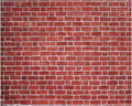 15 x 10 ft Red Brick Wall Backdrop Fabric Brick Photo Background | Large Polyester Brick Backdrop Cover for Photoshoot Home Fireplace Decoration, Newborn Birthday Party Decor by VitalCozy
