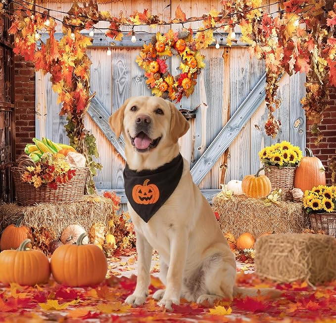 Fall Photo Backdrops for Photography, Thanksgiving Decorations 7x5ft | Vinyl Autumn Background for Photoshoot, Orange Pumpkin Maple Leaves, for Outdoor Party, Friendsgiving Decor - Image 6